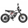 Fafrees F20 Ultra Electric Bike EU L1e-B Certified Version  750W Motor  48V 25Ah Battery  20*5 inch Tires  45km/h Max Speed  14
