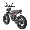 Fafrees F20 Ultra Electric Bike EU L1e-B Certified Version  750W Motor  48V 25Ah Battery  20*5 inch Tires  45km/h Max Speed  14