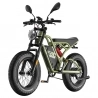 Fafrees F20 Ultra Electric Bike EU L1e-B Certified Version  750W Motor  48V 25Ah Battery  20*5 inch Tires  45km/h Max Speed  14
