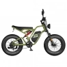 Fafrees F20 Ultra Electric Bike EU L1e-B Certified Version  750W Motor  48V 25Ah Battery  20*5 inch Tires  45km/h Max Speed  14