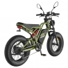 Fafrees F20 Ultra Electric Bike EU L1e-B Certified Version  750W Motor  48V 25Ah Battery  20*5 inch Tires  45km/h Max Speed  14