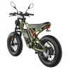 Fafrees F20 Ultra Electric Bike EU L1e-B Certified Version  750W Motor  48V 25Ah Battery  20*5 inch Tires  45km/h Max Speed  14