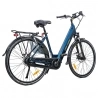 CITY 5 3-20 Electric Bike  250W Motor  36V 14Ah Battery  700*40C Tires  25km/h Max Speed  45km Range  Front 