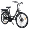 Miami-26 Electric Bike  250W Motor  36V 14 4Ah Battery  26*1 95 inch Tires  25km/h Max Speed  45km Range  Front 
