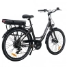 Miami-26 Electric Bike  250W Motor  36V 14 4Ah Battery  26*1 95 inch Tires  25km/h Max Speed  45km Range  Front 