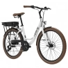 Miami-26 Electric Bike  250W Motor  36V 14 4Ah Battery  26*1 95 inch Tires  25km/h Max Speed  45km Range  Front 
