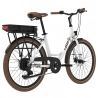 Miami-26 Electric Bike  250W Motor  36V 14 4Ah Battery  26*1 95 inch Tires  25km/h Max Speed  45km Range  Front 
