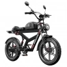 DUOTTS F20 Electric Bike, 750W Motor, 52V 27Ah Battery, 20*4.0 Inch Fat Tires, 50km/h Max Speed, Turn Signal
