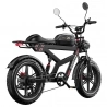 DUOTTS F20 Electric Bike, 750W Motor, 52V 27Ah Battery, 20*4.0 Inch Fat Tires, 50km/h Max Speed, Turn Signal