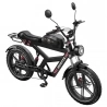 DUOTTS F20 Electric Bike, 750W Motor, 52V 27Ah Battery, 20*4.0 Inch Fat Tires, 50km/h Max Speed, Turn Signal