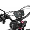 DUOTTS F20 Electric Bike, 750W Motor, 52V 27Ah Battery, 20*4.0 Inch Fat Tires, 50km/h Max Speed, Turn Signal