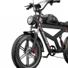 DUOTTS F20 Electric Bike, 750W Motor, 52V 27Ah Battery, 20*4.0 Inch Fat Tires, 50km/h Max Speed, Turn Signal