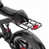 DUOTTS F20 Electric Bike, 750W Motor, 52V 27Ah Battery, 20*4.0 Inch Fat Tires, 50km/h Max Speed, Turn Signal