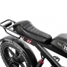 DUOTTS F20 Electric Bike, 750W Motor, 52V 27Ah Battery, 20*4.0 Inch Fat Tires, 50km/h Max Speed, Turn Signal