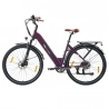 TTGO C3 Pro Electric Bike  250W Motor  36V 20Ah Battery  28 inch Tires  25km/h Max Speed  120km Max Range  Hydraulic Disc Brake