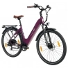 TTGO C3 Pro Electric Bike  250W Motor  36V 20Ah Battery  28 inch Tires  25km/h Max Speed  120km Max Range  Hydraulic Disc Brake