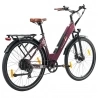 TTGO C3 Pro Electric Bike  250W Motor  36V 20Ah Battery  28 inch Tires  25km/h Max Speed  120km Max Range  Hydraulic Disc Brake