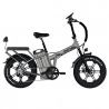 RATTAN LM Ultra Electric Bike  1000W Motor  48V 40 5Ah Battery  20*4 inch Tires  50km/h Max Speed  190km Max Range  Hydraulic B