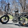 RATTAN LM Ultra Electric Bike  1000W Motor  48V 40 5Ah Battery  20*4 inch Tires  50km/h Max Speed  190km Max Range  Hydraulic B