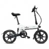 FIIDO D2 Foldable Electric Moped Bike