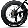FIIDO M1 20 Inch Fat Tire Faltbares elektrisches Mountainbike - 250W bürstenloser Motor