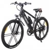 NAKTO GYL018 Ranger LCD Meter Electric Bicycle - 350W Motor
