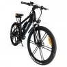 NAKTO GYL018 Ranger LCD Meter Electric Bicycle - 350W Motor