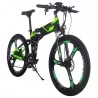 RICH BIT TOP-860 Opvouwbare elektrische fiets - 12,8AH lithiumaccu