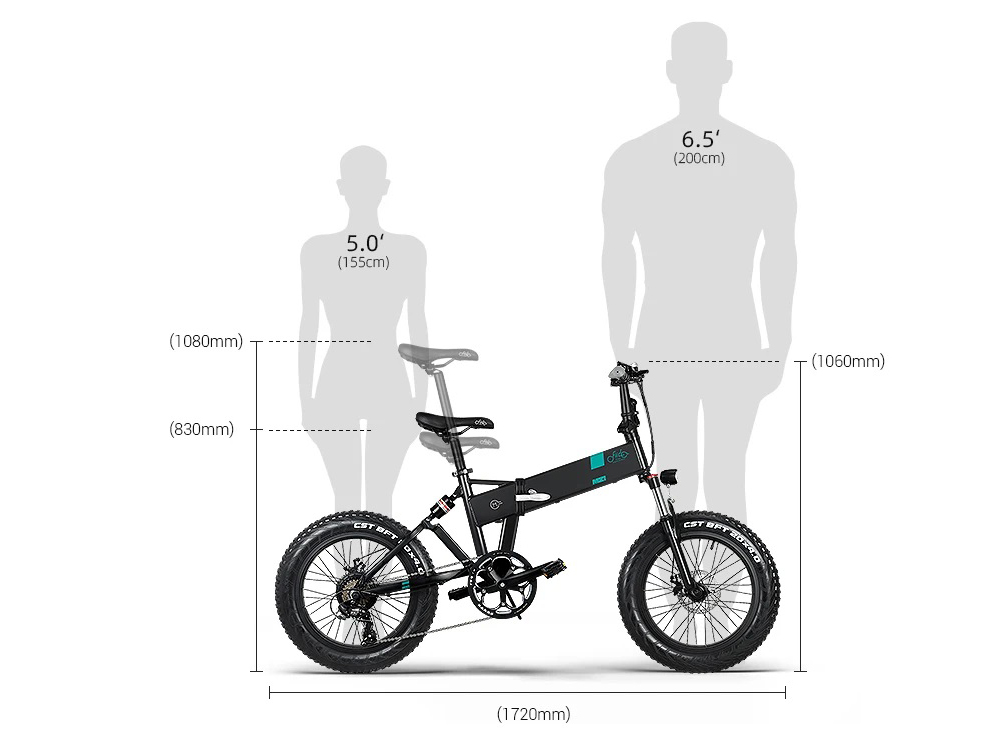 FIIDO M21 20*4.0in Tire Foldable Electric Mountain Bike - 48V 11.6Ah  Battery \u0026 500W Motor with Torque Sensor - GEEKMAXI.COM