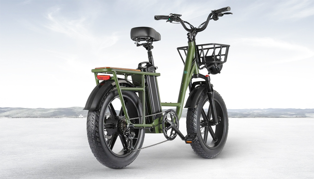 FIIDO T1 Cargo Electric Bike 750W Power 50km/h Max Speed 48V 20AH Lithium Battery 150km Range Shock Absorber - Green