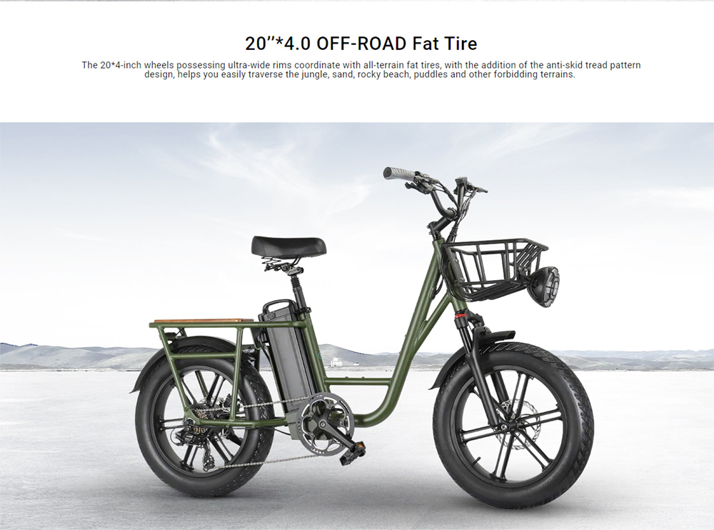 FIIDO T1 Cargo Electric Bike 750W Power 50km/h Max Speed 48V 20AH Lithium Battery 150km Range Shock Absorber - Green