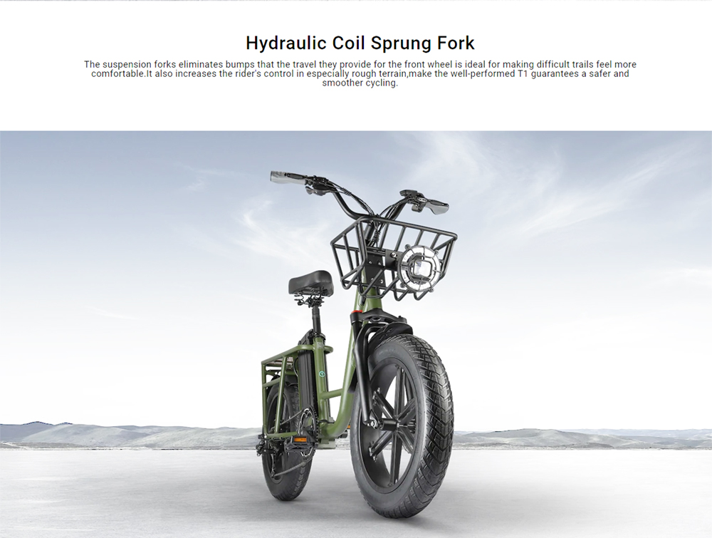 FIIDO T1 Cargo Electric Bike 750W Power 50km/h Max Speed 48V 20AH Lithium Battery 150km Range Shock Absorber - Green