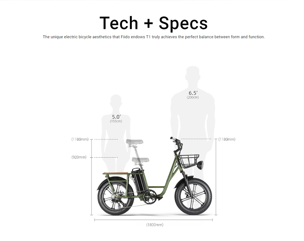 FIIDO T1 Cargo Electric Bike 750W Power 50km/h Max Speed 48V 20AH Lithium Battery 150km Range Shock Absorber - Green
