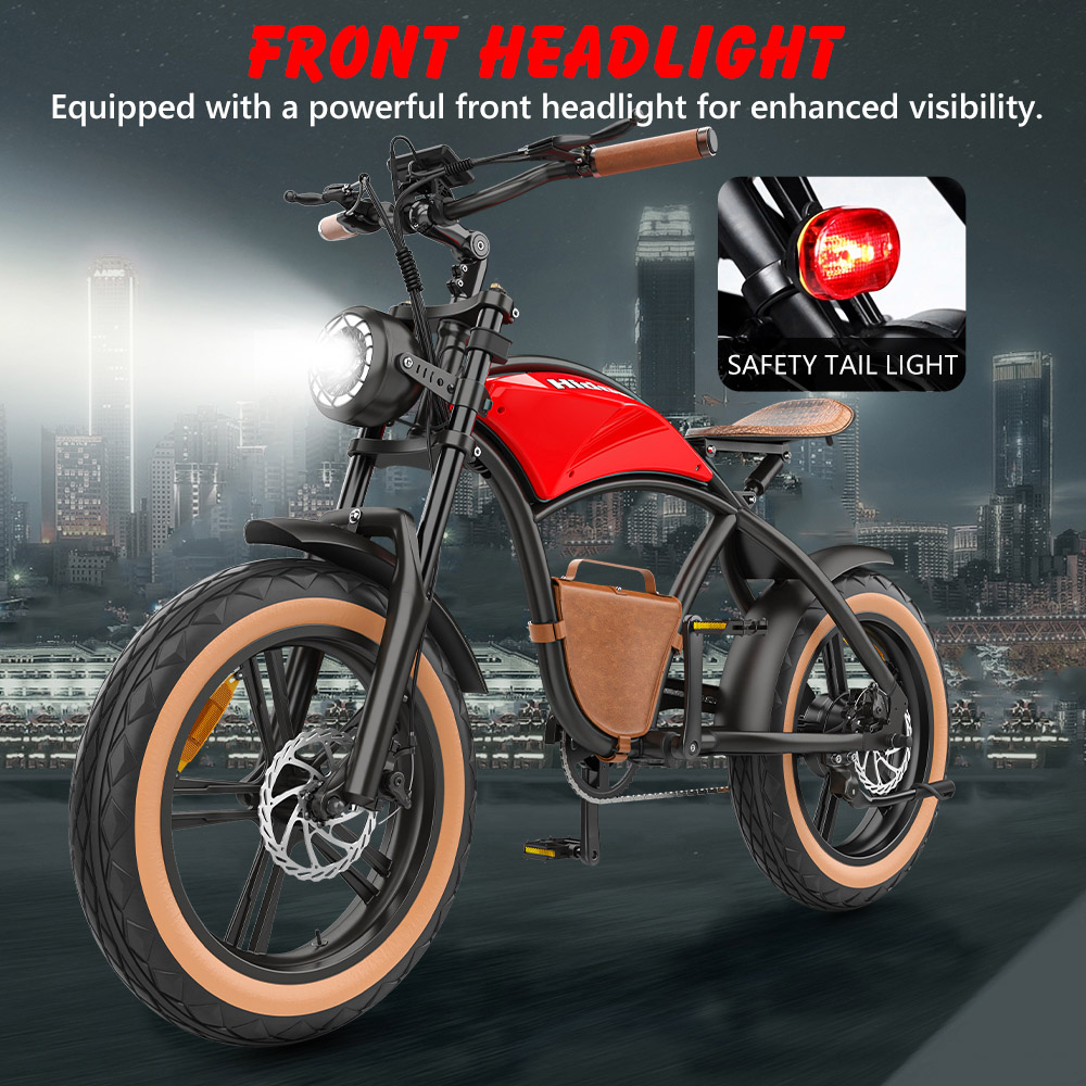 Hidoes B10 Electric Bike 1000W Motor 48V 13Ah Battery 20 x4