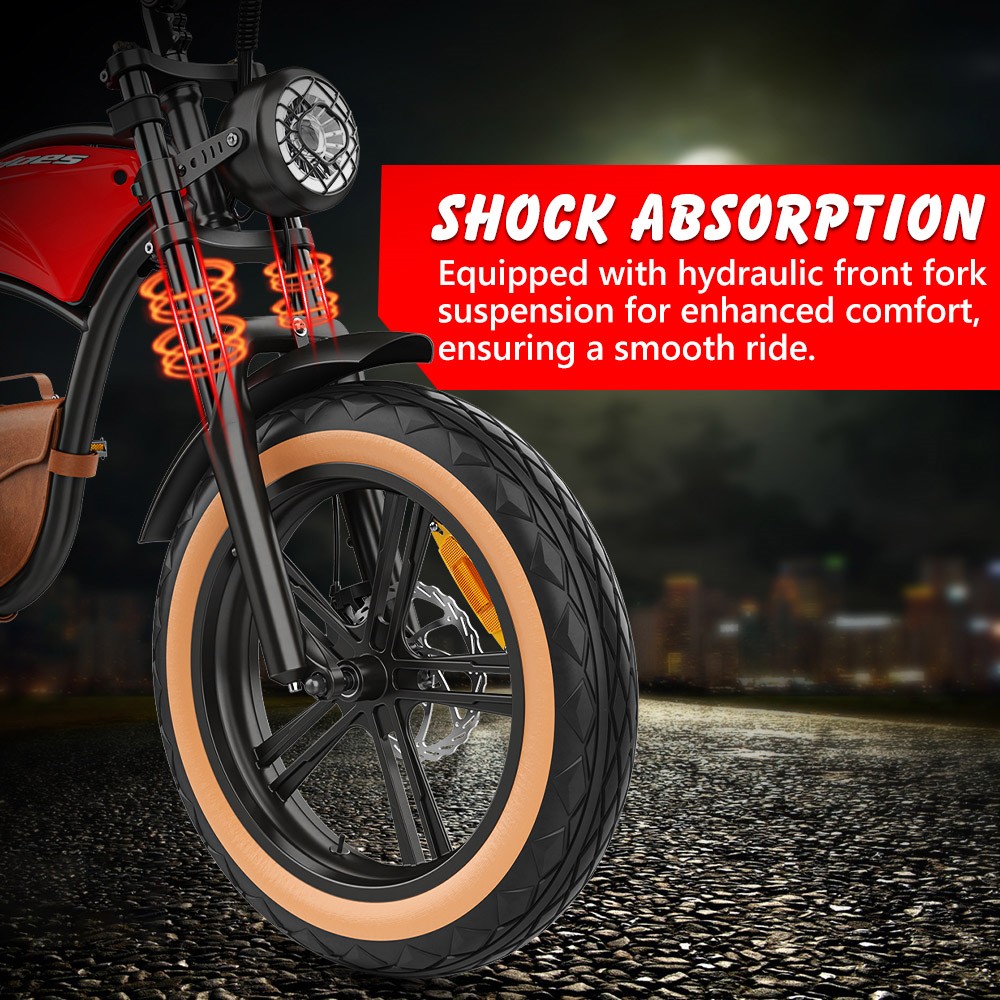 Hidoes B10 Electric Bike 1000W Motor 48V 13Ah Battery 20 x4