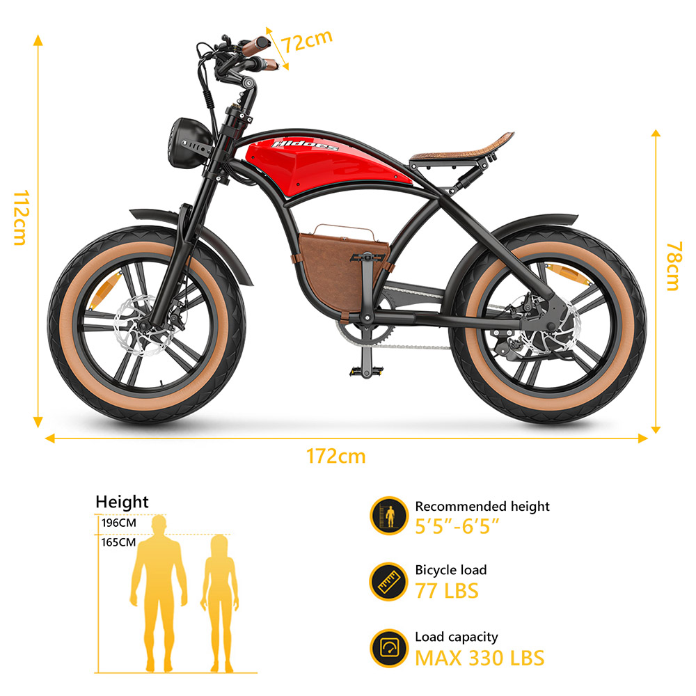Hidoes B10 Electric Bike 1000W Motor 48V 13Ah Battery 20 x4
