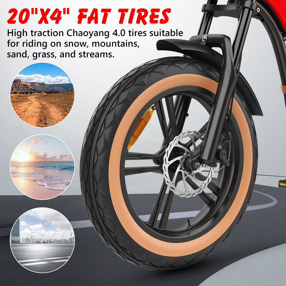 Hidoes B10 Electric Bike 1000W Motor 48V 13Ah Battery 20 x4