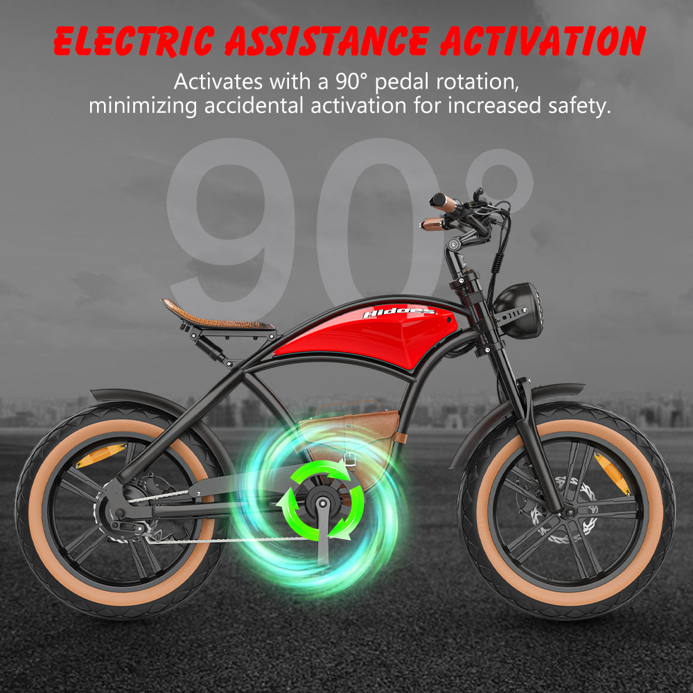 Hidoes B10 Electric Bike 1000W Motor 48V 13Ah Battery 20 x4