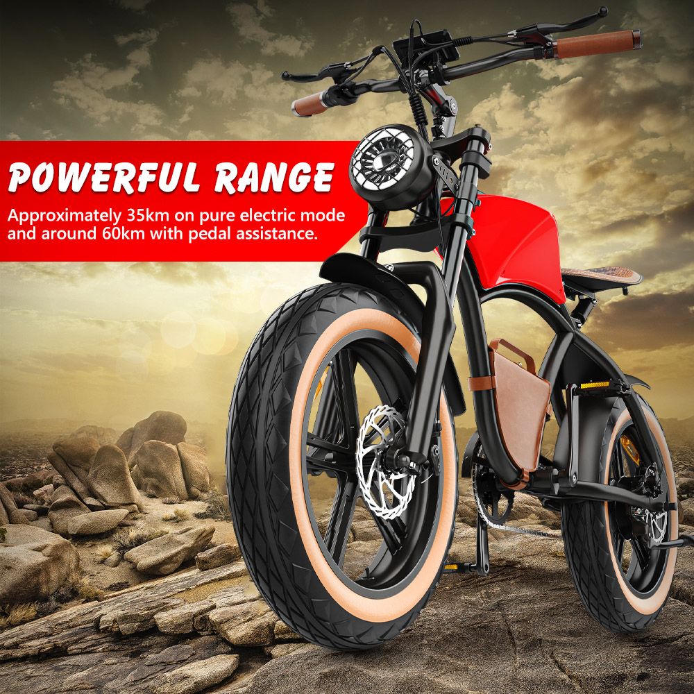 Hidoes B10 Electric Bike 1000W Motor 48V 13Ah Battery 20 x4