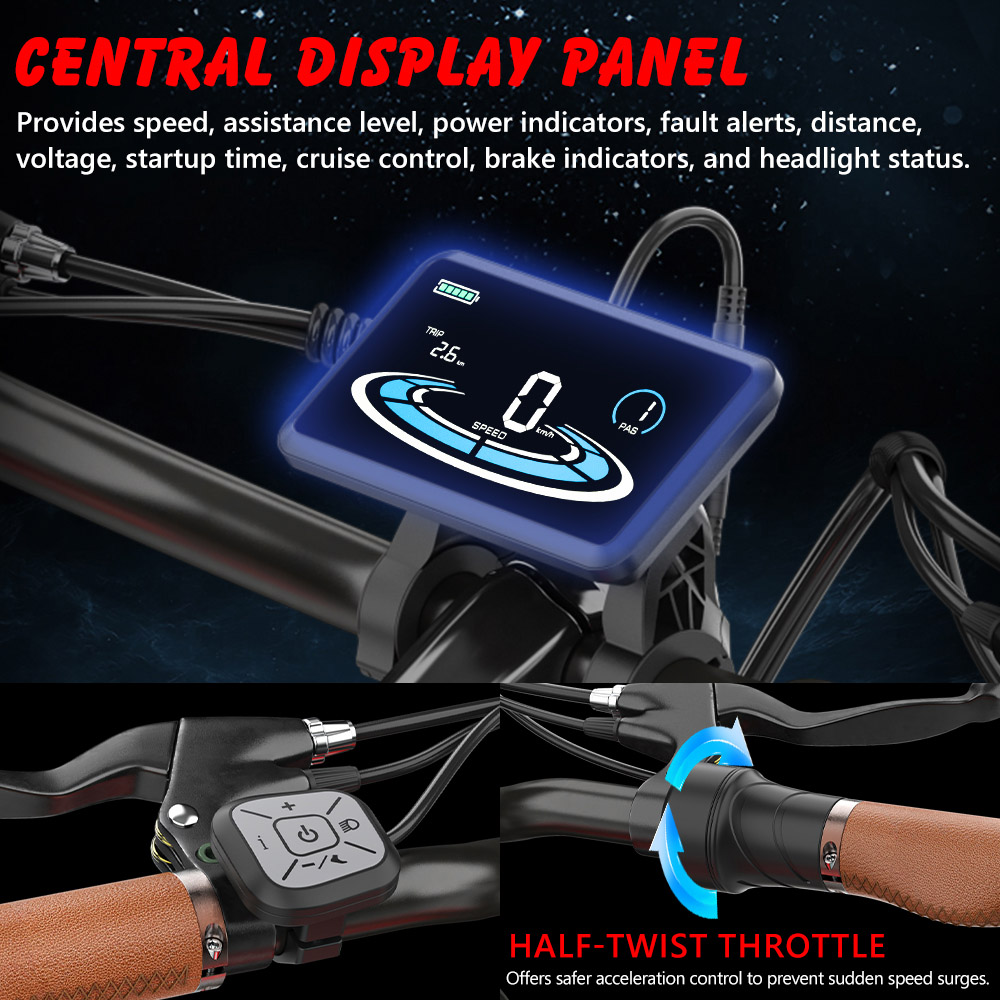Hidoes B10 Electric Bike 1000W Motor 48V 13Ah Battery 20 x4