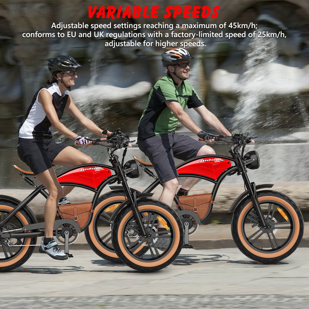 Hidoes B10 Electric Bike 1000W Motor 48V 13Ah Battery 20 x4