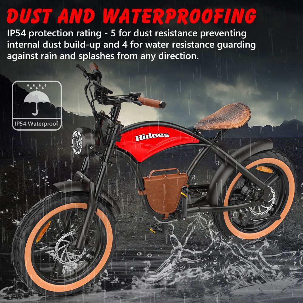 Hidoes B10 Electric Bike 1000W Motor 48V 13Ah Battery 20 x4