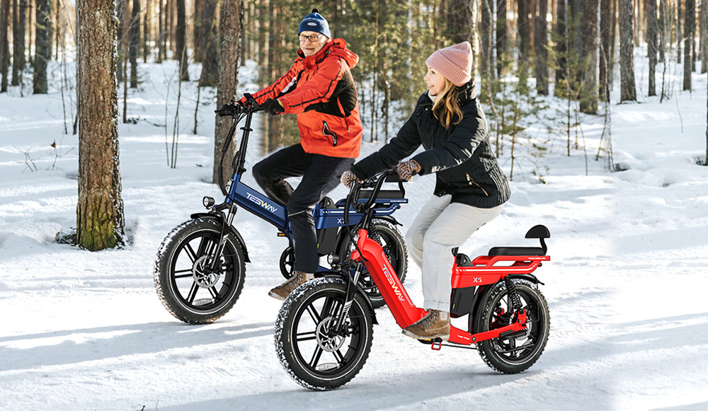 TESWAY X5 Electric Bike 750W Motor 48V 25Ah Battery 20*4 0-inch Tires 45km/h Max Speed 130km Range Mechanical Disc Brakes
