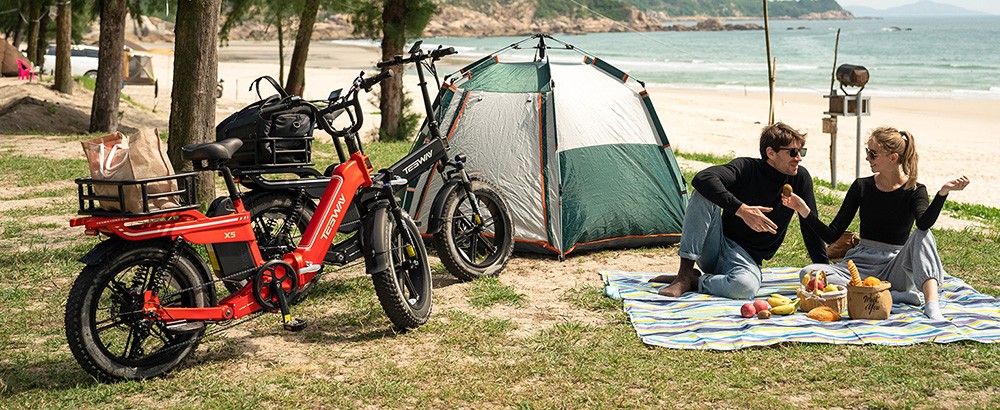 TESWAY X5 Electric Bike 750W Motor 48V 25Ah Battery 20*4 0-inch Tires 45km/h Max Speed 130km Range Mechanical Disc Brakes