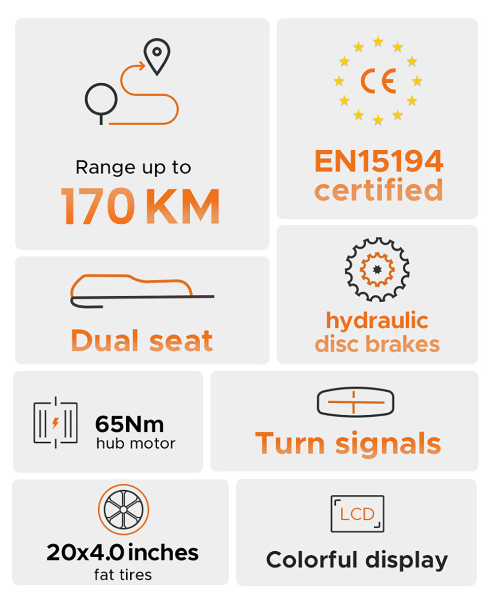 ENGWE M1 Electric Bike  250W Motor  48V 15 6Ah 13Ah Battery  20*4 0 inch Fat Tire  25 km/h Max Speed  170km Range  Hydraulic Di