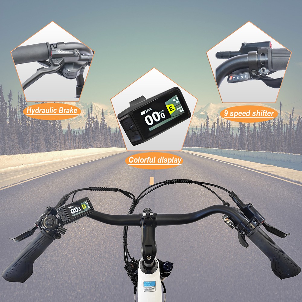 TTGO C7 ZZ-28ST Electric Bike 250W Motor 36V 20Ah Battery 700C*45C Tire 25km/h Max Speed 160-180km Range Hydraulic Disc