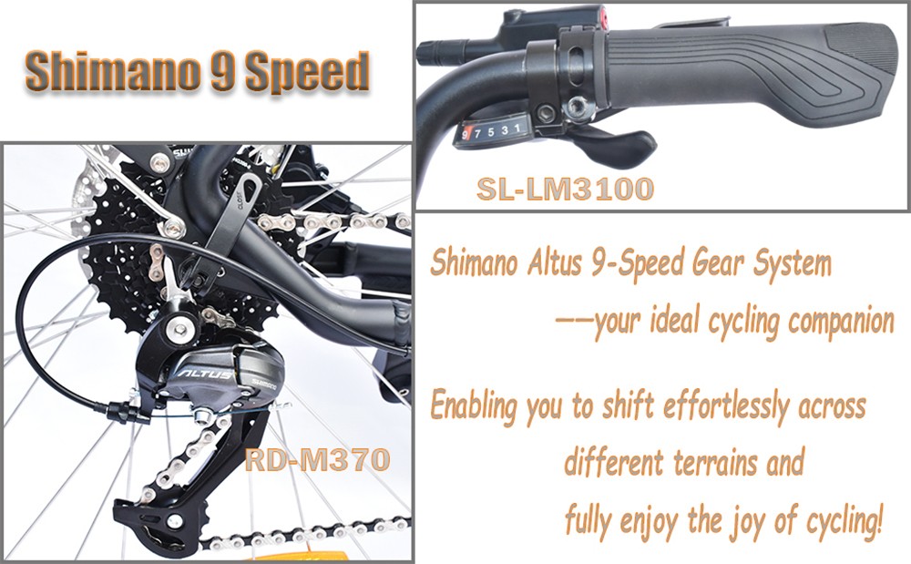 TTGO C7 ZZ-28ST Electric Bike 250W Motor 36V 20Ah Battery 700C*45C Tire 25km/h Max Speed 160-180km Range Hydraulic Disc