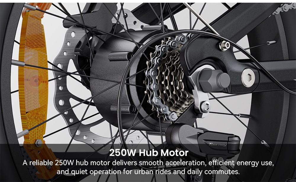 ENGWE L20 3 0 Boost Electric Bike 250W Motor 48V 13 5Ah Battery 20*3 0 inch Tire 135km Max Range Hydraulic Brakes Full Su