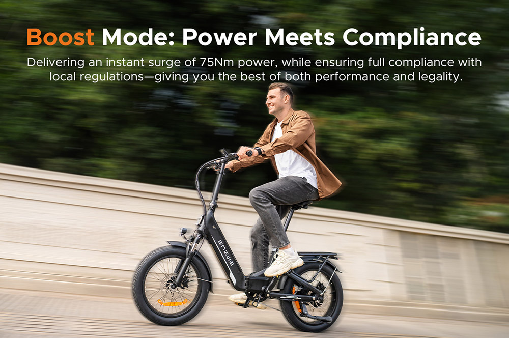 ENGWE L20 3 0 Boost Electric Bike 250W Motor 48V 13 5Ah Battery 20*3 0 inch Tire 135km Max Range Hydraulic Brakes Full Su