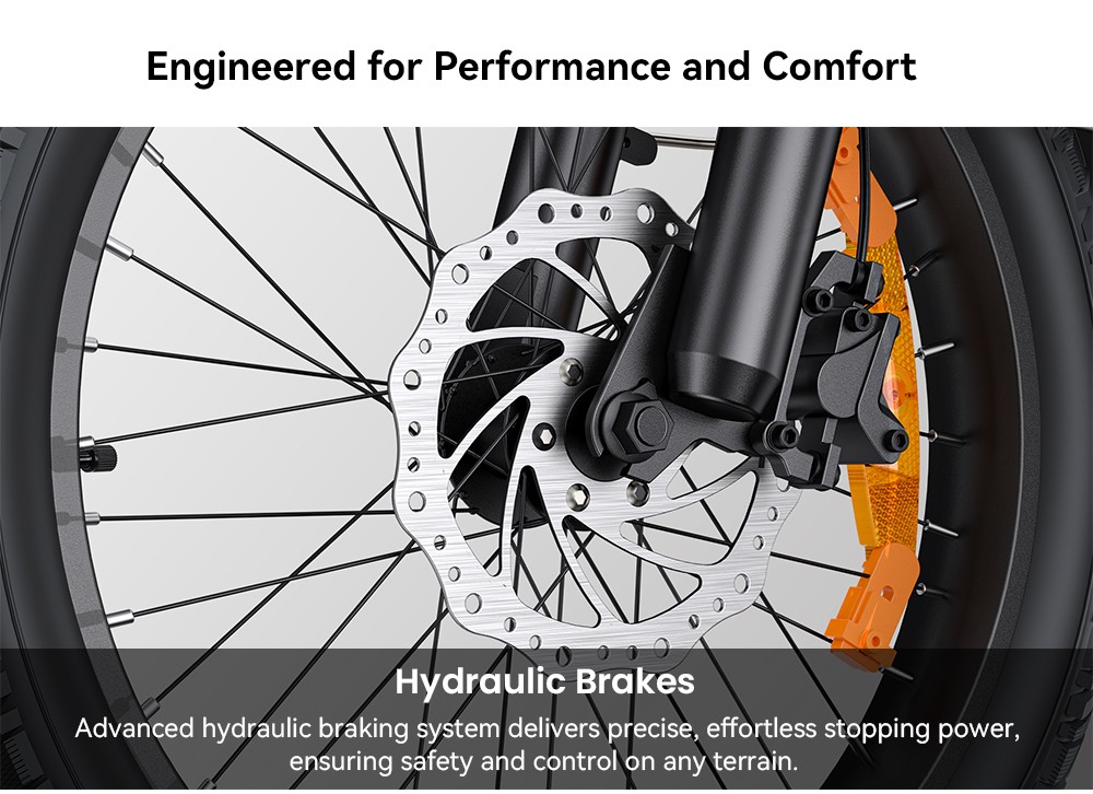 ENGWE L20 3 0 Boost Electric Bike 250W Motor 48V 13 5Ah Battery 20*3 0 inch Tire 135km Max Range Hydraulic Brakes Full Su